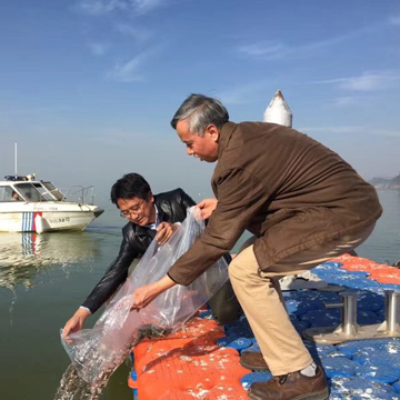 水環(huán)境考察治理